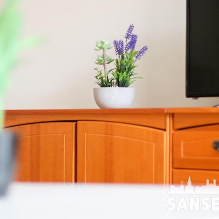 Apartamento Colon By Sanse Holidays San Sebastián Eksteriør bilde
