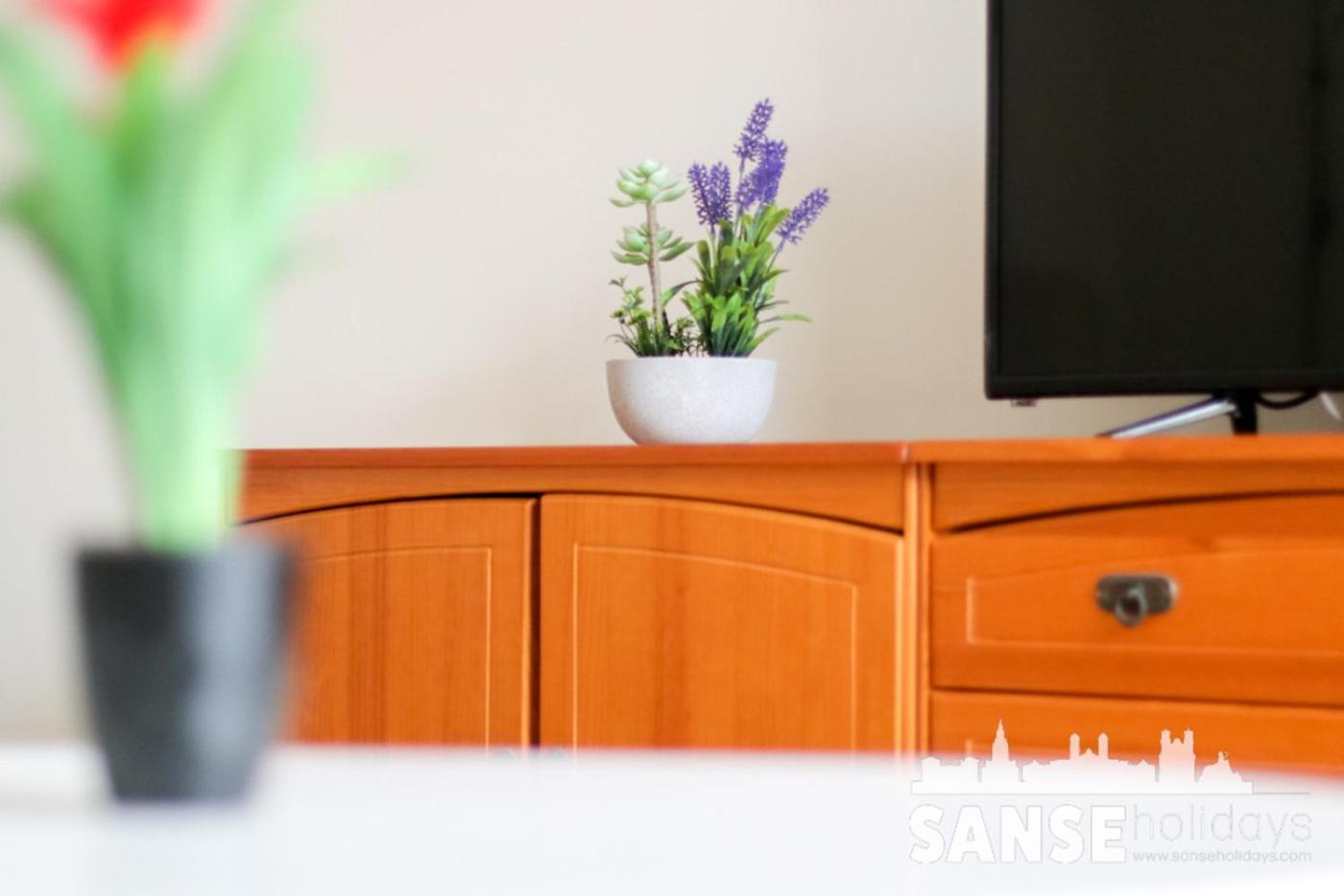 Apartamento Colon By Sanse Holidays San Sebastián Eksteriør bilde